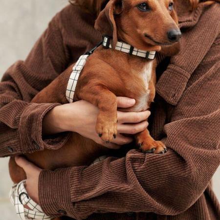 Collier en PET recyclé - Linea Beige