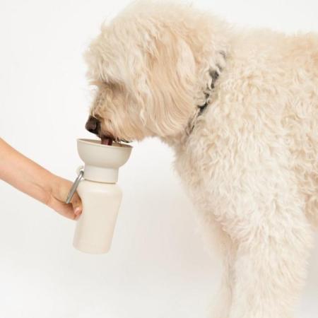 Accessoire ou friandise pour chien – design pratique et adapté au quotidien.