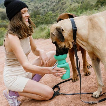Accessoire ou friandise pour chien – design pratique et adapté au quotidien.