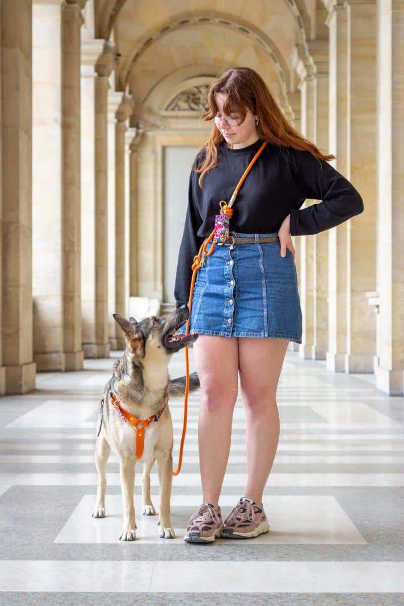 Laisse en corde Cream – Image 4