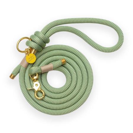 Laisse en corde Matcha