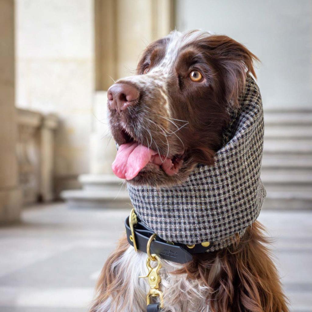 Snood Cambon