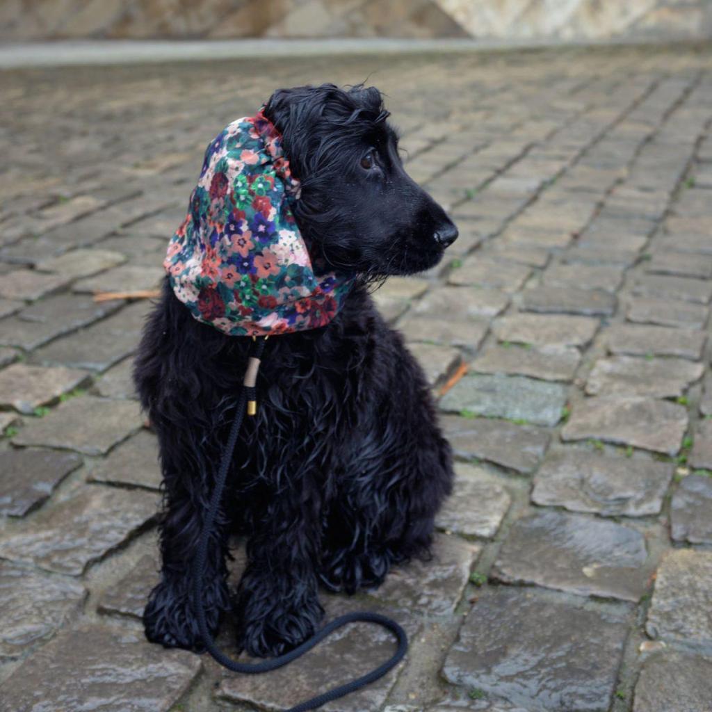 Snood Scarlett