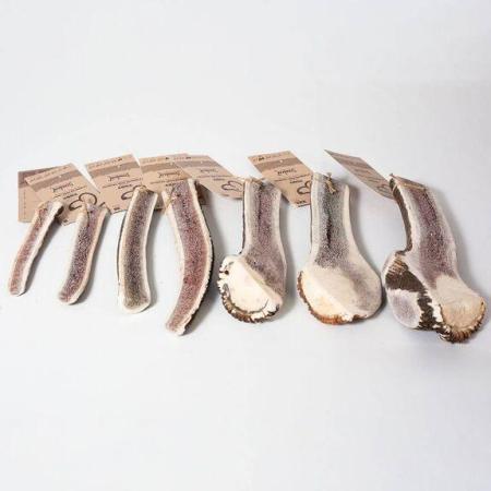 Bois de cerf tranché - Toby