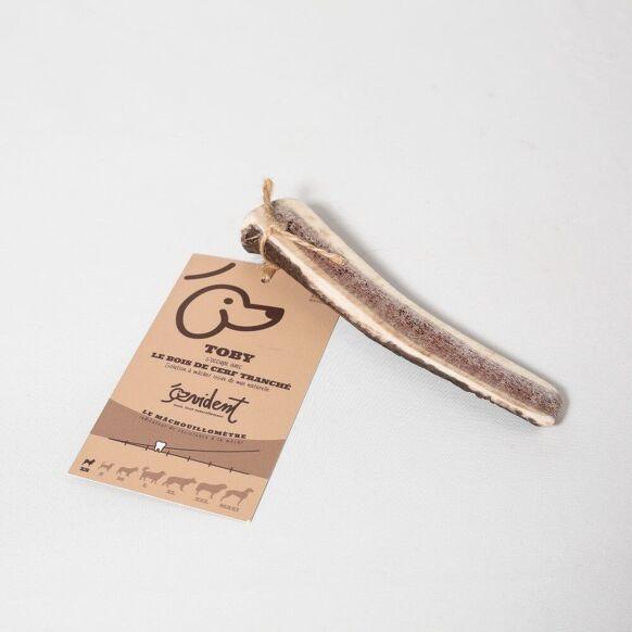 Bois de cerf tranché - Toby – Image 3