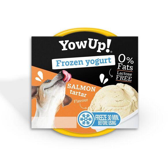 Crème glacée au Yaourt - Tartare de saumon - YowUp