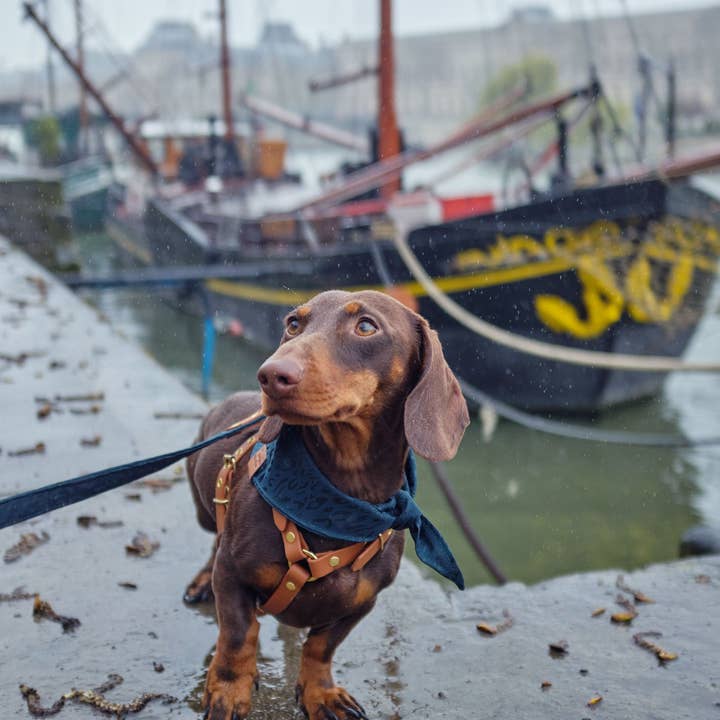 Bandana Bali – Image 5