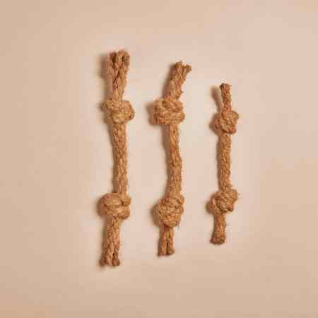 Jouet à mâcher en corde de coco