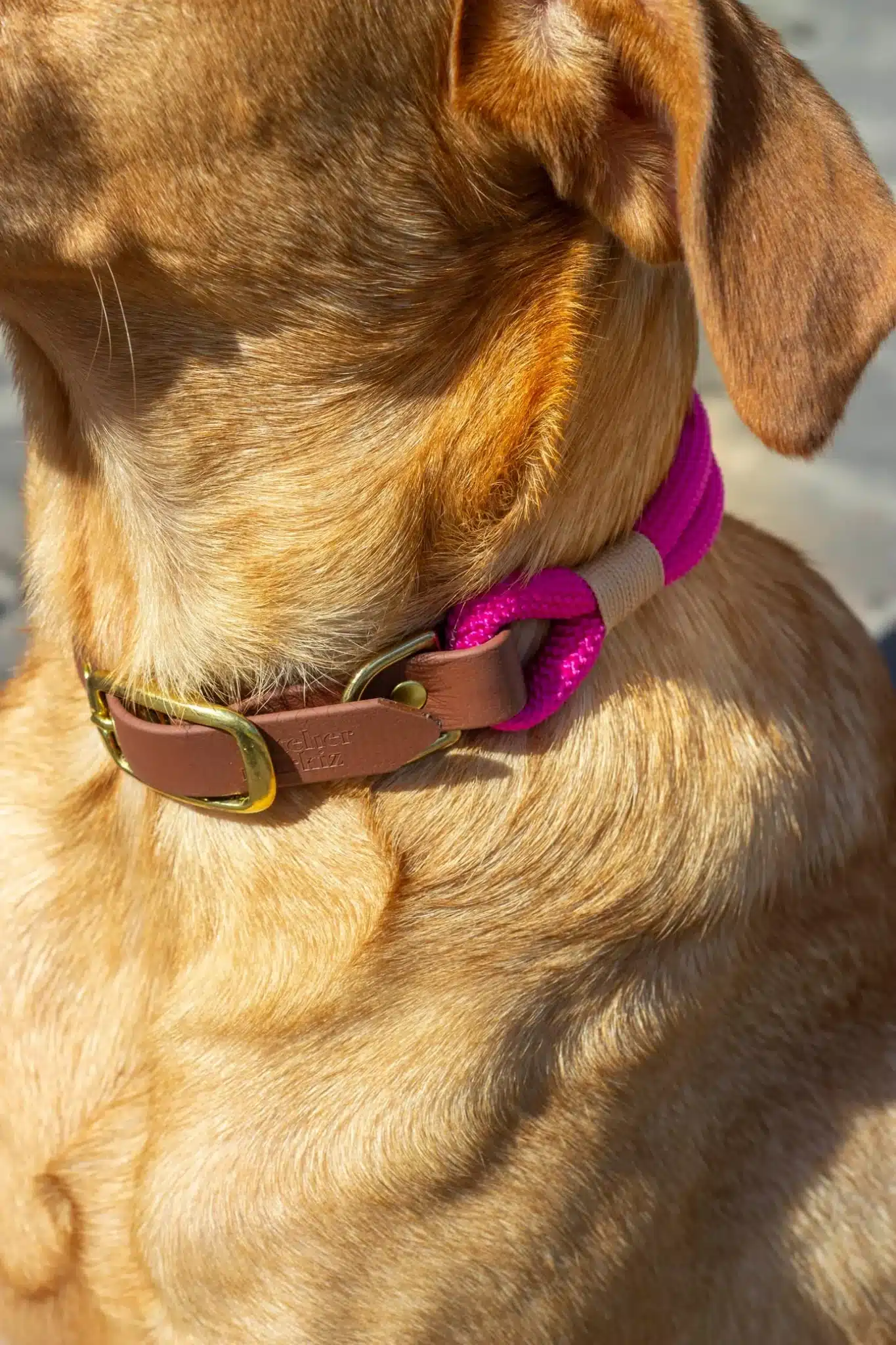 Collier en corde & Biothane Fuchsia – Image 3