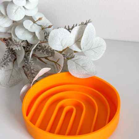 tapis de léchage pour chien