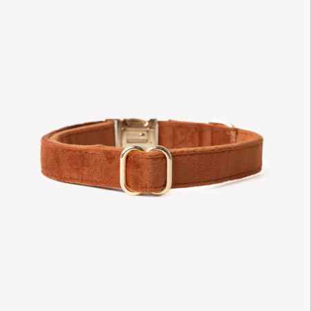 collier pour chien velour terracotta