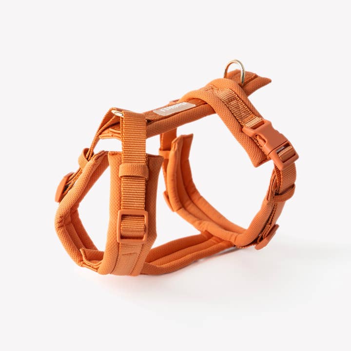 harnais pour chien terracotta