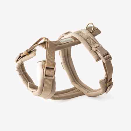 harnais pour chien sable
