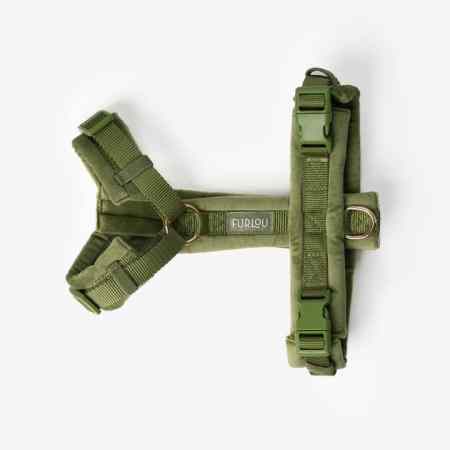 harnais pour chien vert