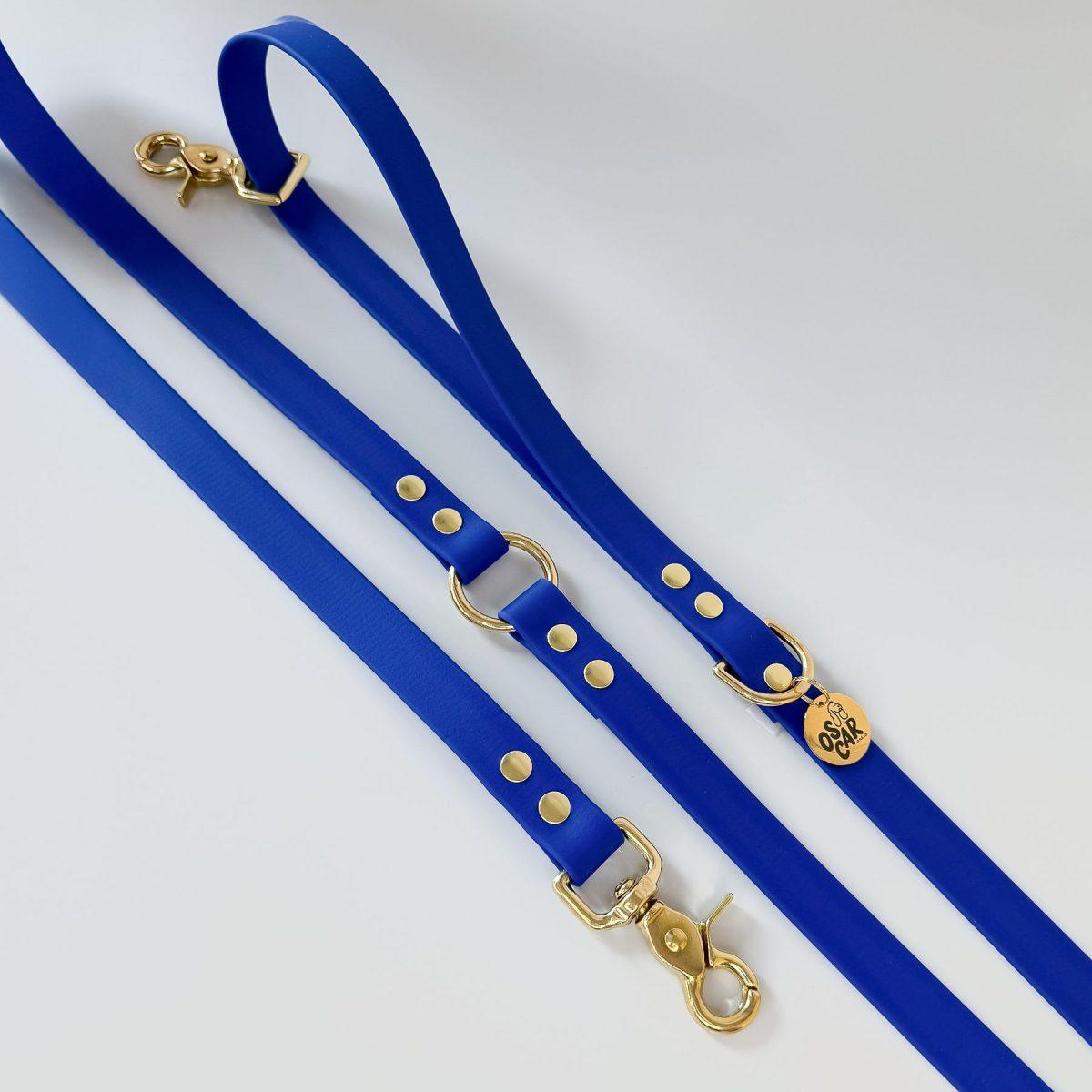 laisse pour chien bleu roi