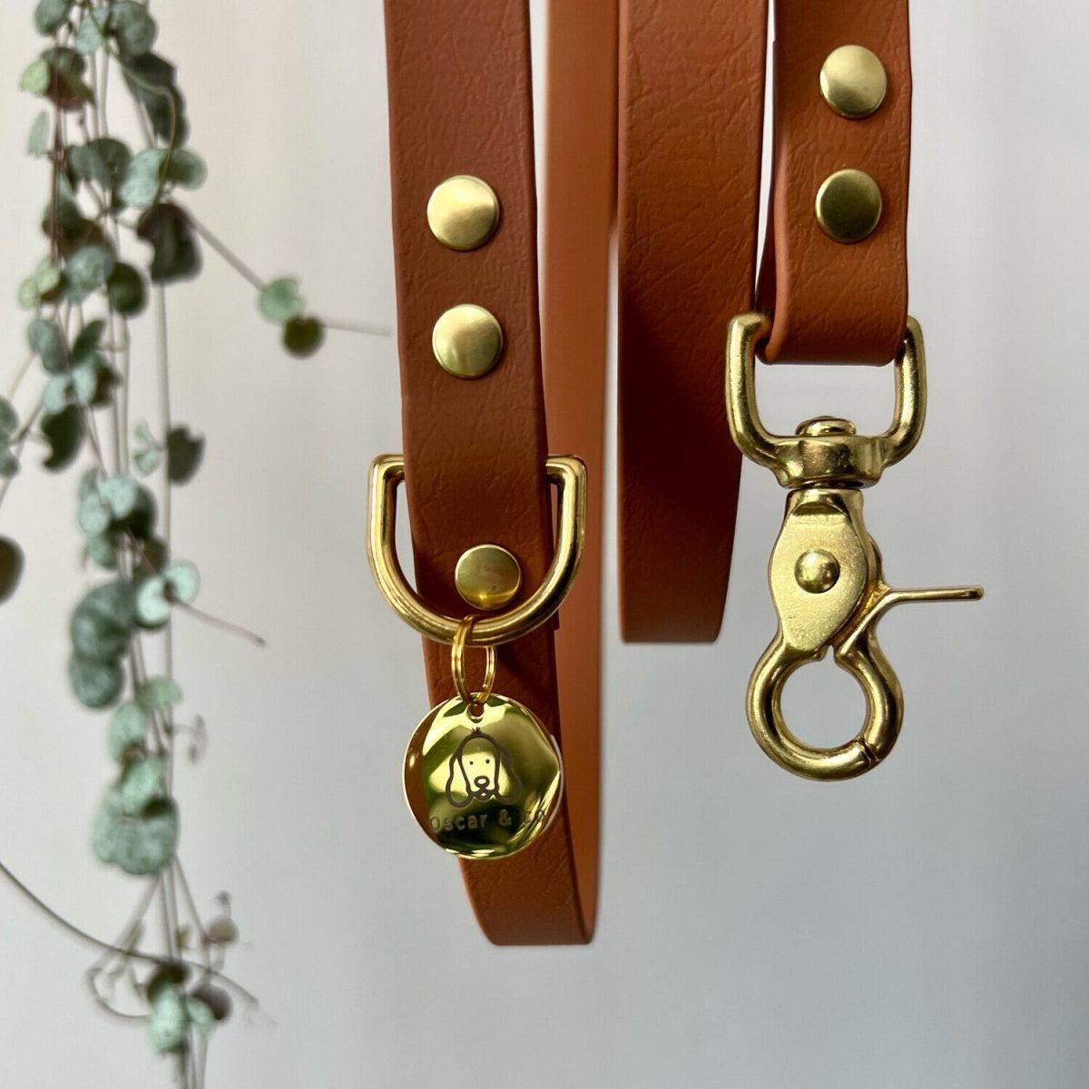 laisse pour chien camel