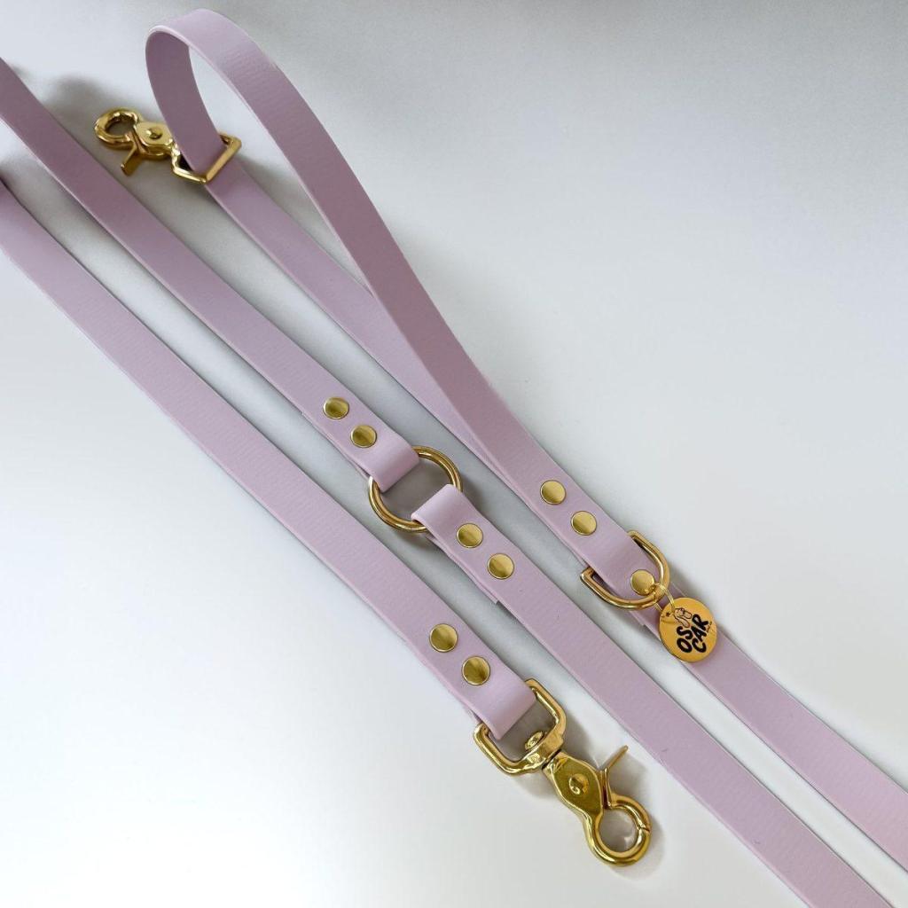 Laisse pour chien lilas