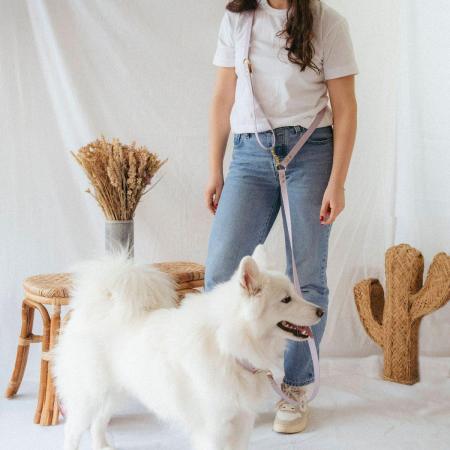 Laisse pour chien lilas