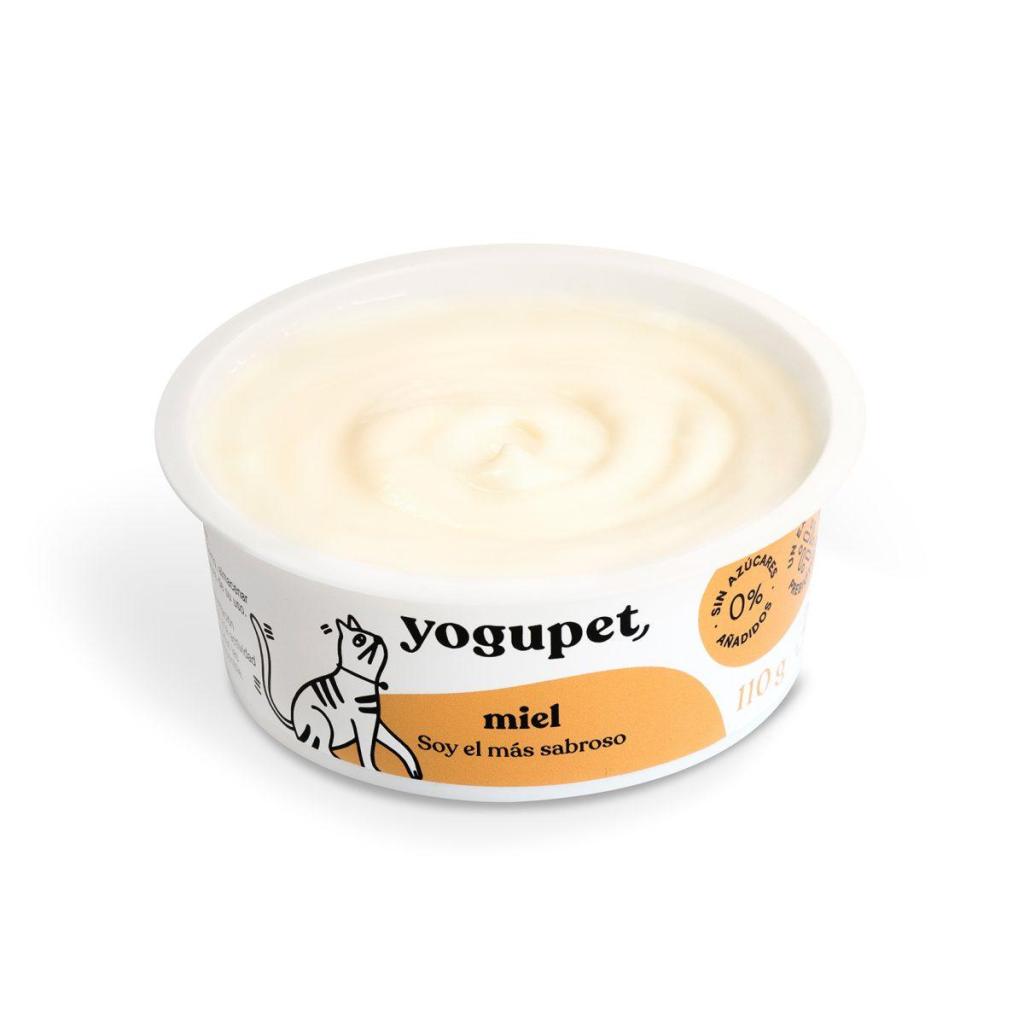 Yaourt au miel pour chat