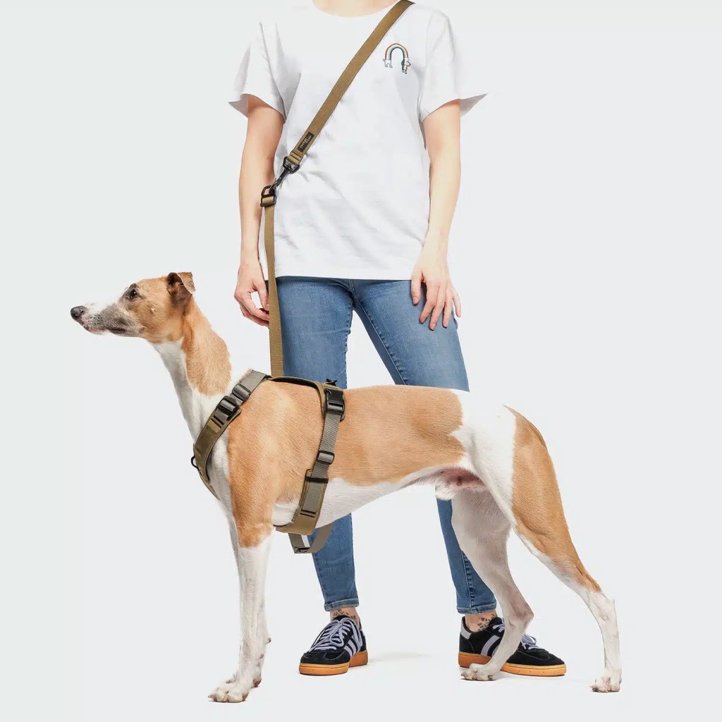 Laisse mains libres AKTIV - Kaki/Gris