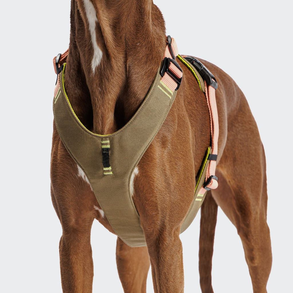 Harnais Y‑2 AKTIV Cordura - Peach