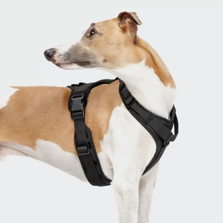 Harnais Y‑3 AKTIV Softshell - Noir