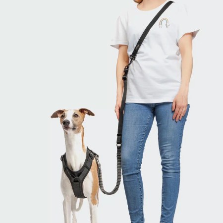 Laisse de jogging AKTIV - Noir