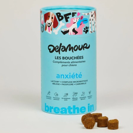 Les Bouchées Anxiété