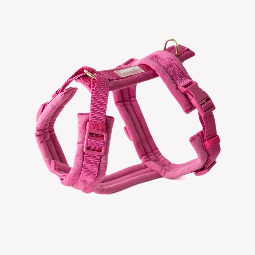 Harnais confort Magenta