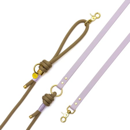 Laisse mains-libres corde x Biothane Belfast
