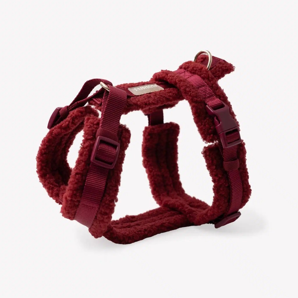 Harnais Sherpa Bordeaux