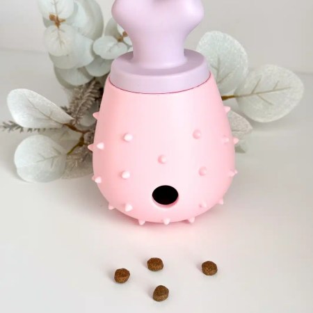 Jouet distributeur de friandises - Os