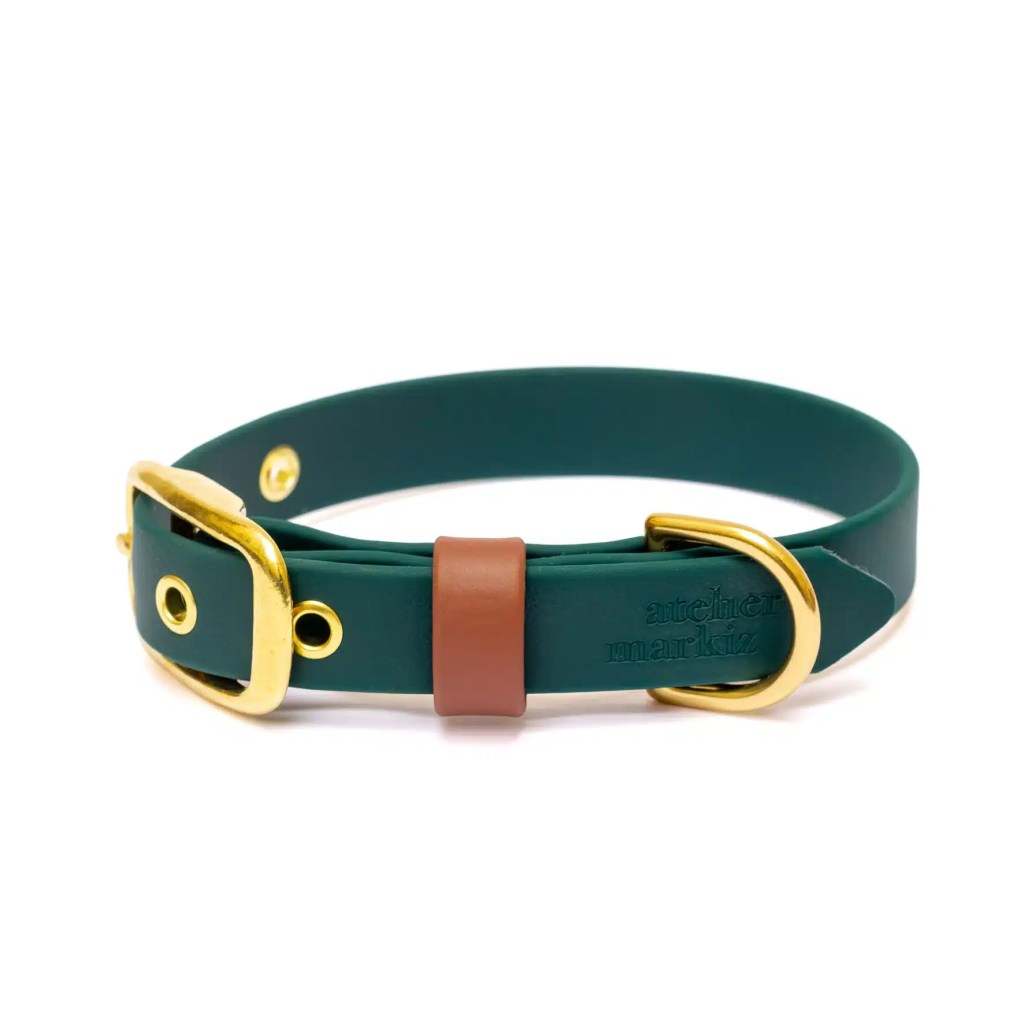 Collier imperméable en biothane Sylvestre