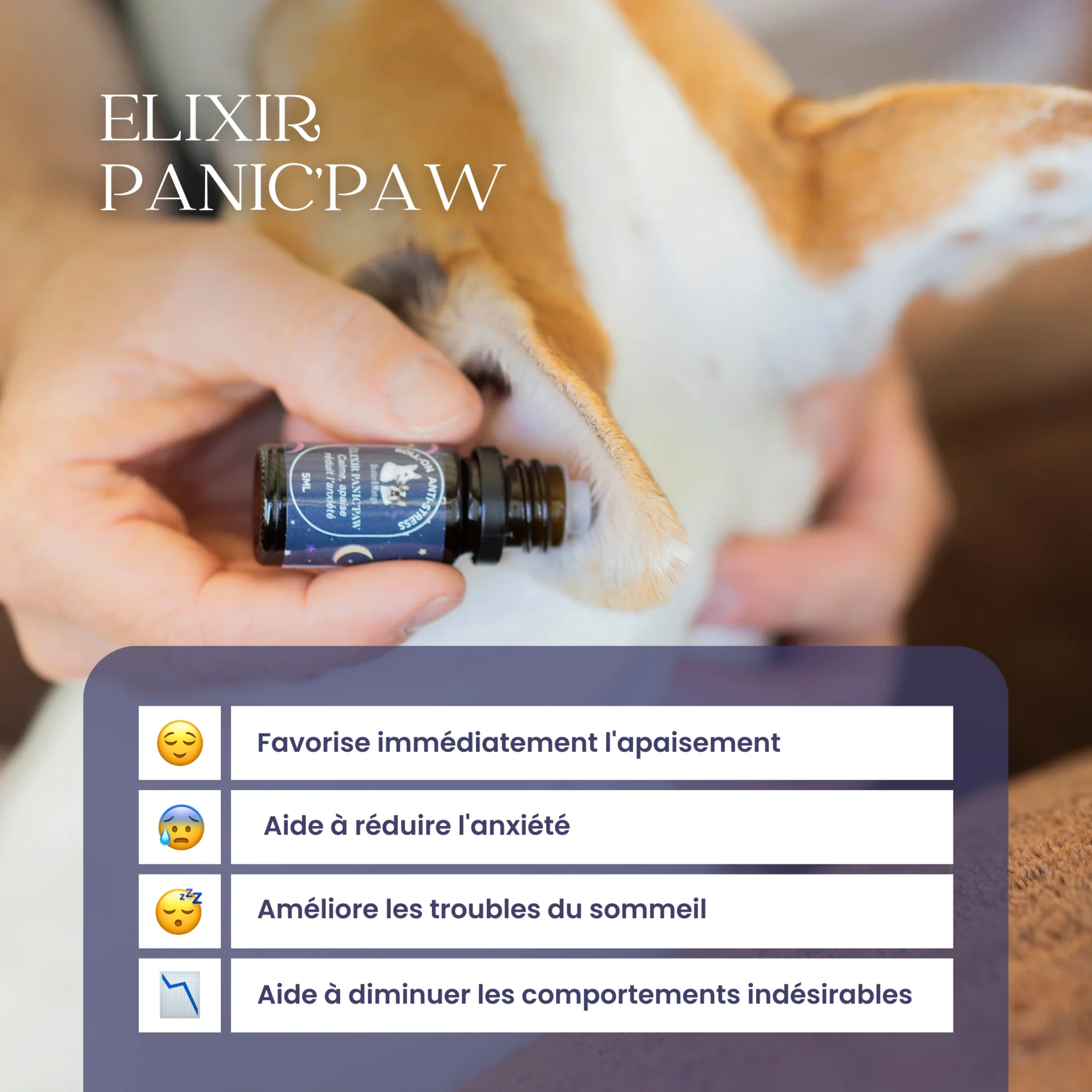 Roll-on anti-stress Panic'Paw – Image 3