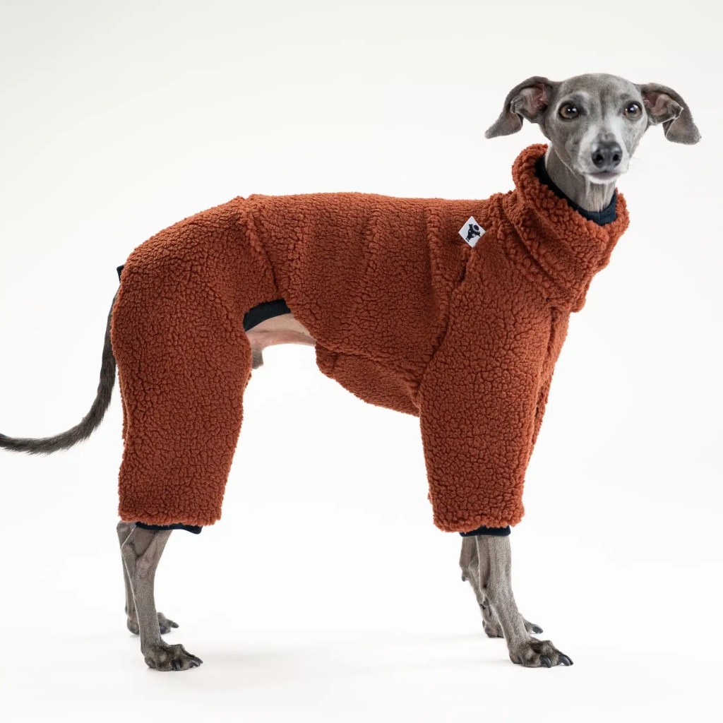 Pull Lévrier Italien Marron - Teddy