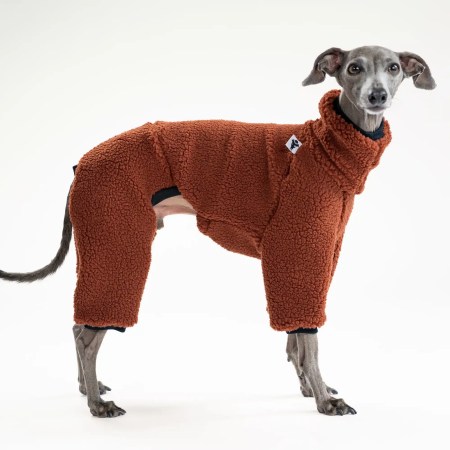 Pull Lévrier Italien Marron - Teddy