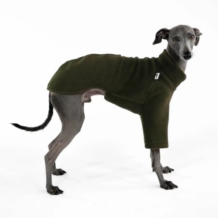 Pull Lévrier Italien Olive - Polaire