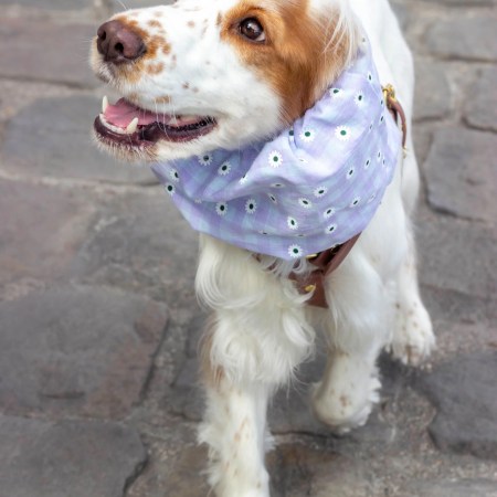 Snood imperméable et réversible Daisy