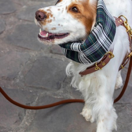 Snood imperméable et réversible Glencoe
