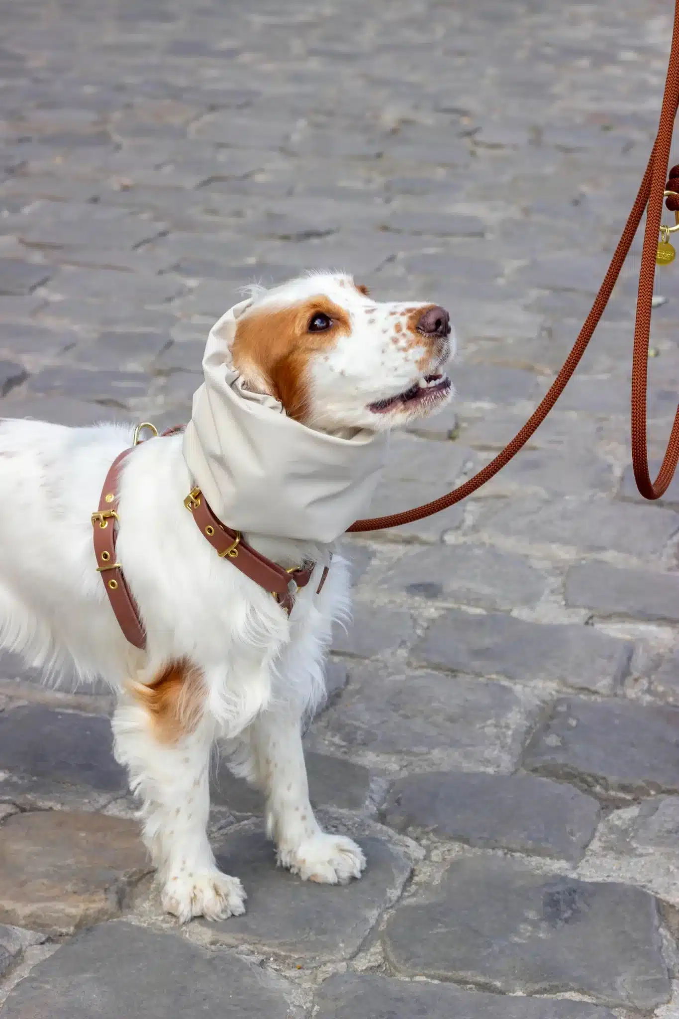 Snood imperméable et réversible Logan – Image 4