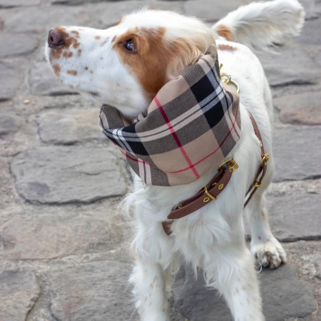 Snood imperméable et réversible Logan