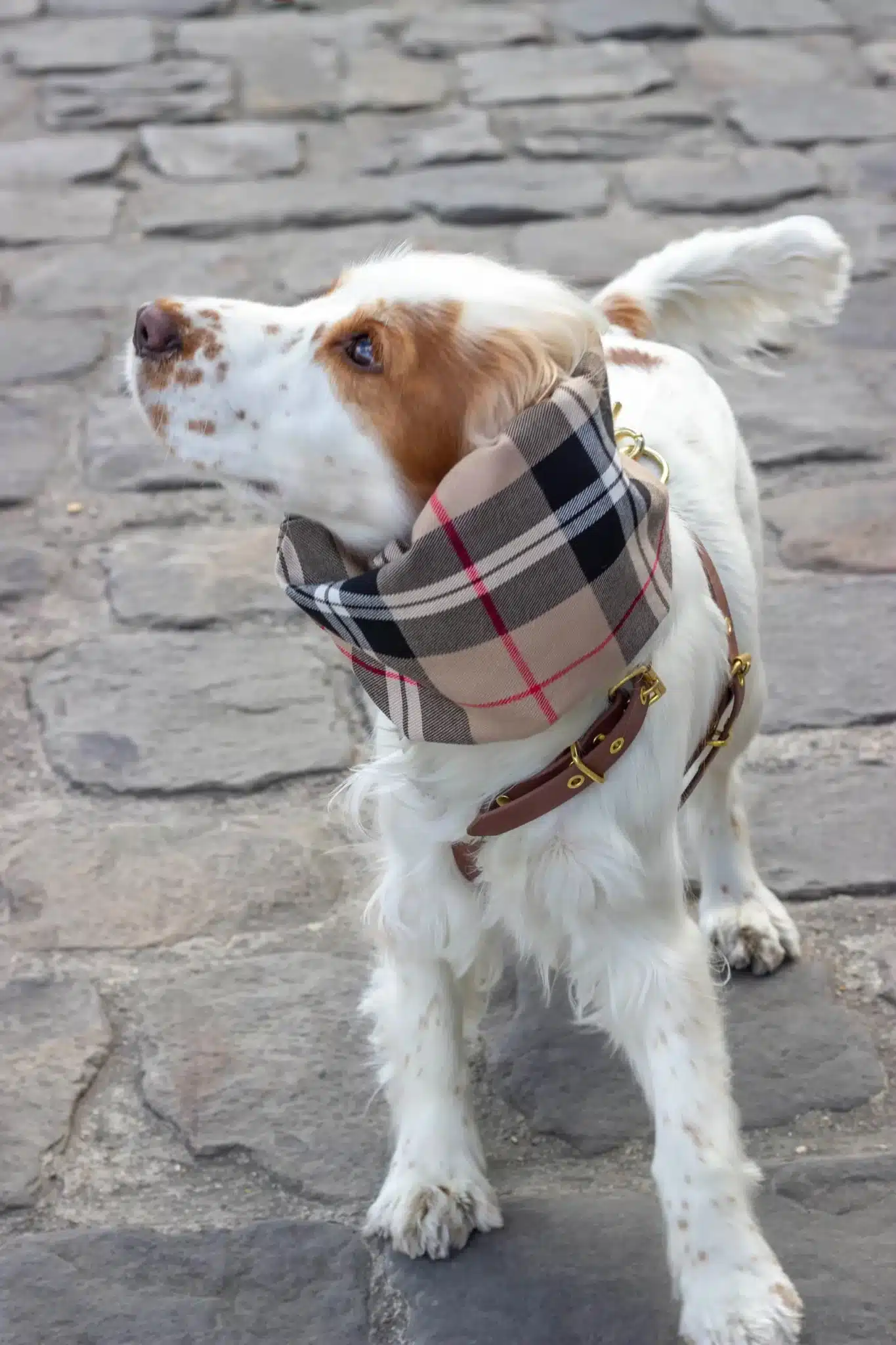 Snood imperméable et réversible Logan