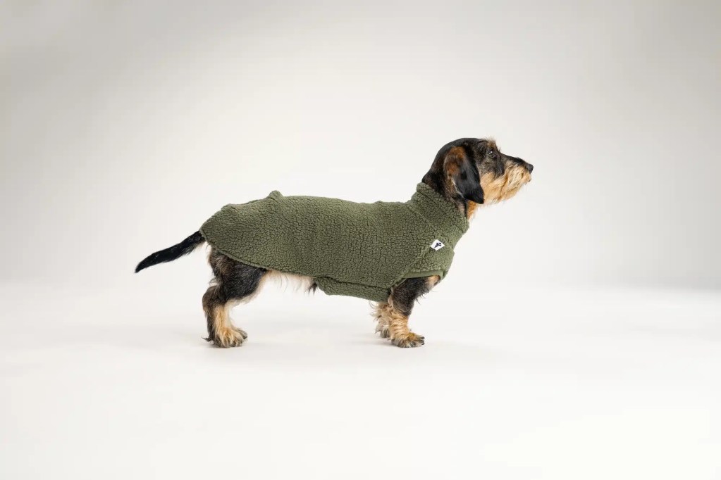 Pull Teckel Olive - Teddy