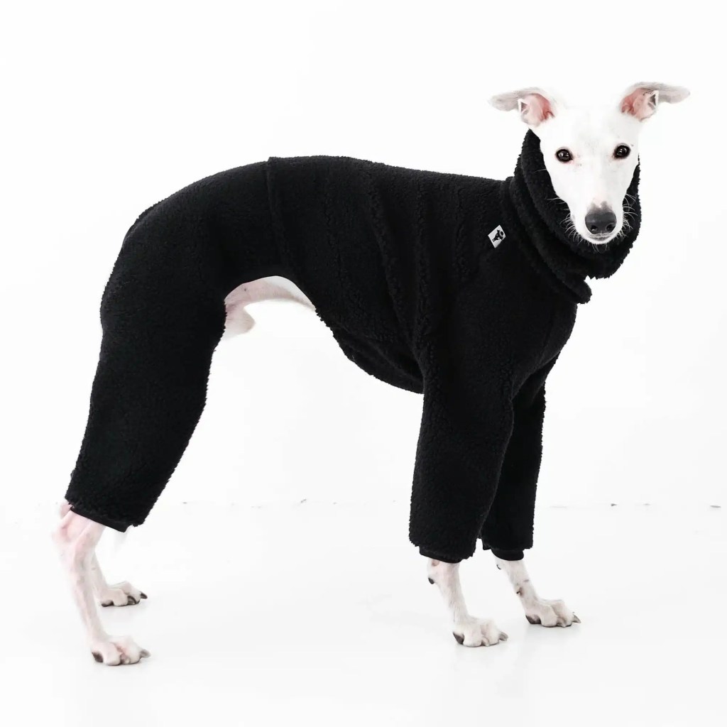 Pull Whippet Noir - Teddy