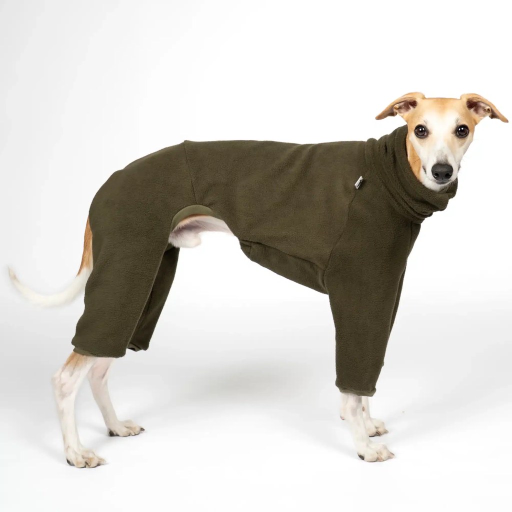 Pull Whippet Olive - Polaire