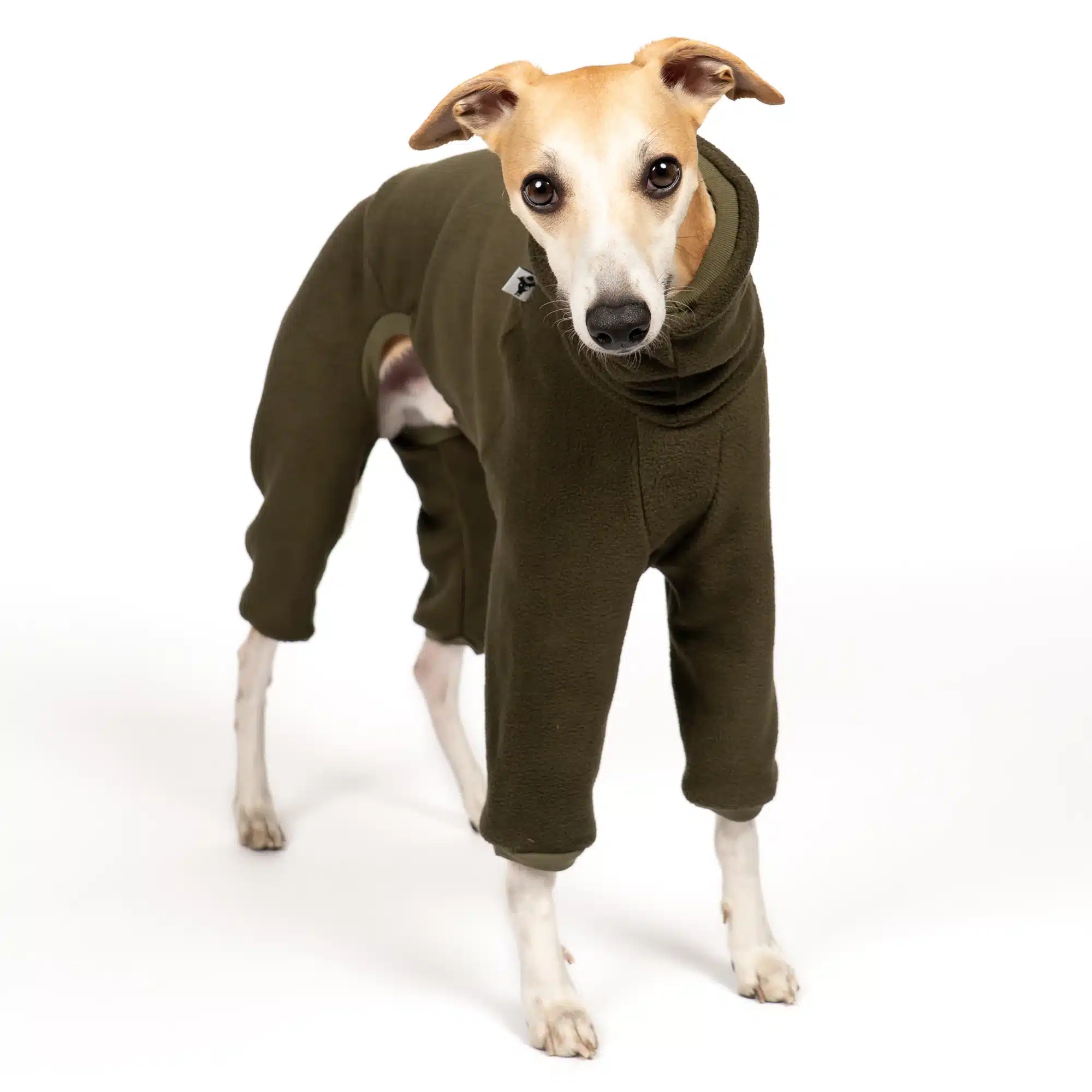 Pull Whippet Olive - Polaire – Image 2
