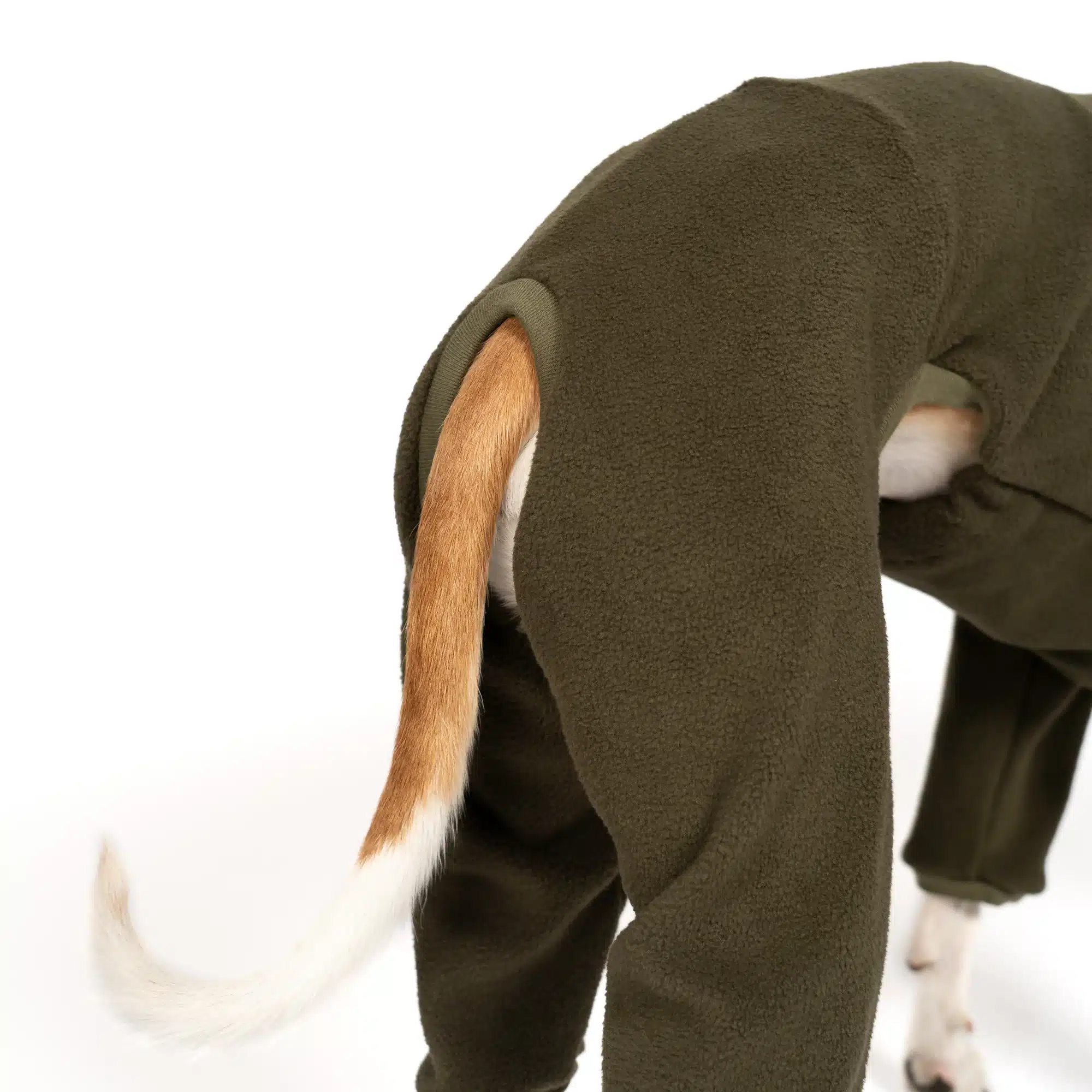 Pull Whippet Olive - Polaire – Image 3