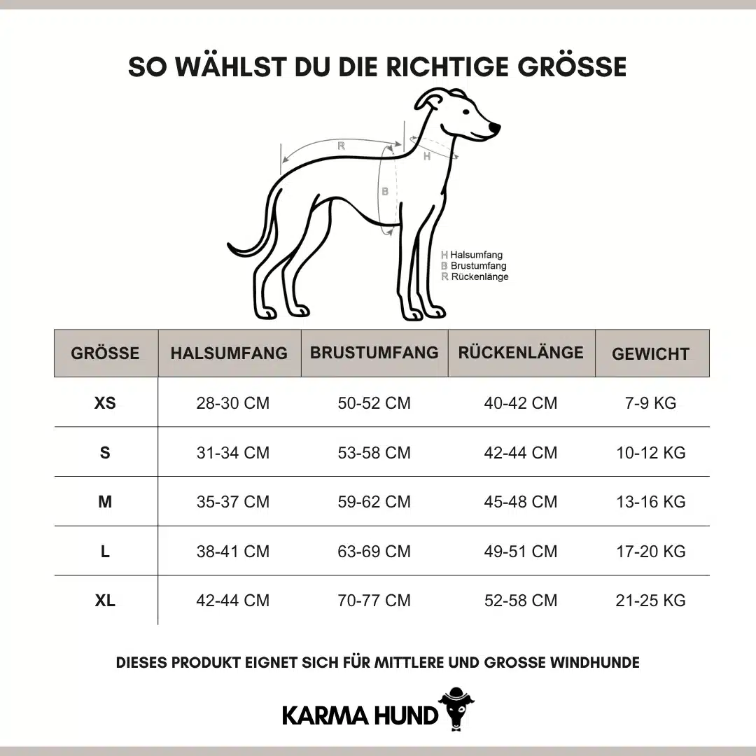 Pull Whippet Olive - Polaire – Image 4