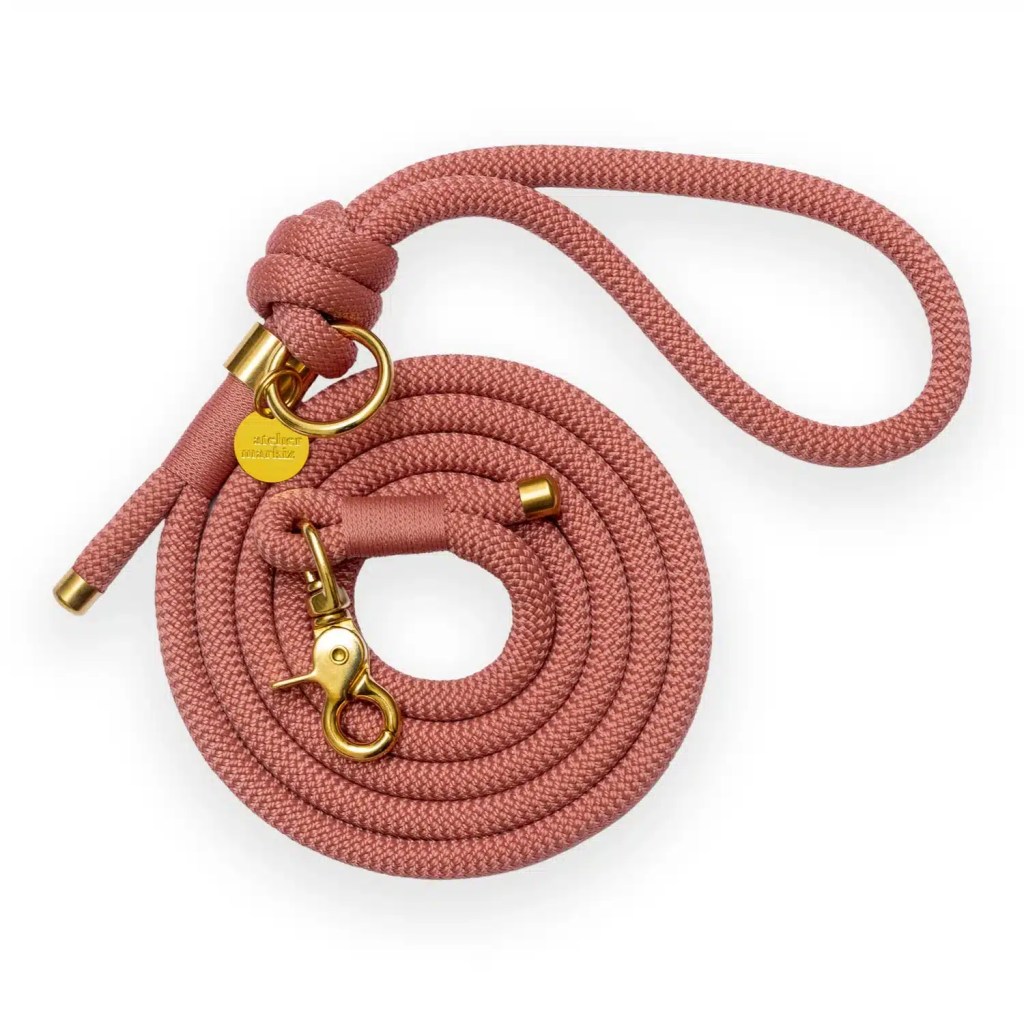 Laisse en corde Saddle