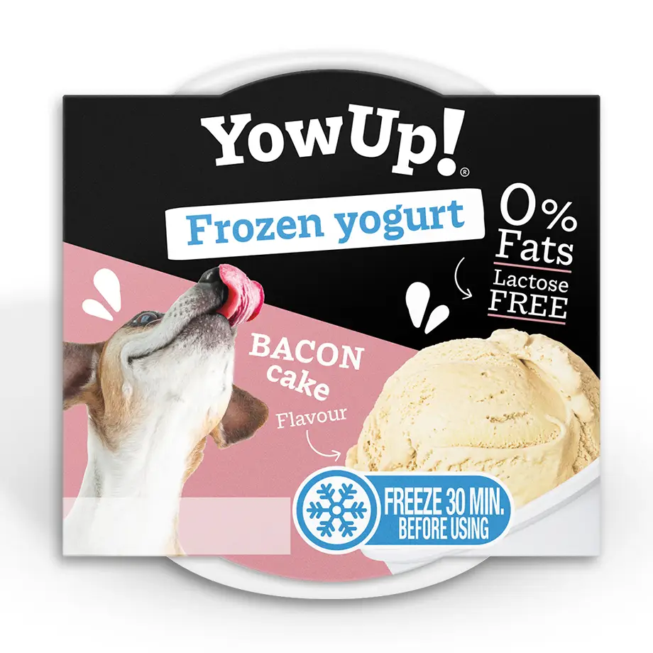 Crème glacée au Yaourt - Bacon cake - YowUp